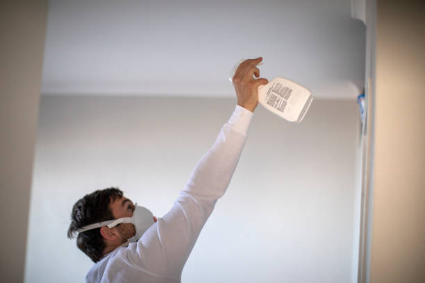 Best Toxic Mold Removal  in Nd Point, WI