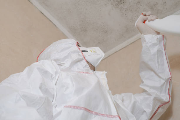 Best Commercial Mold Removal  in Nd Point, WI