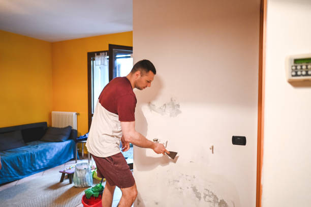 Professional Mold Removal in Wind Point, WI