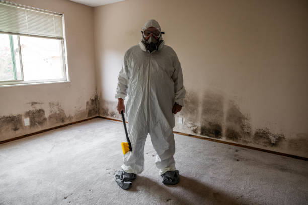 Best Local Mold Removal Service  in Nd Point, WI